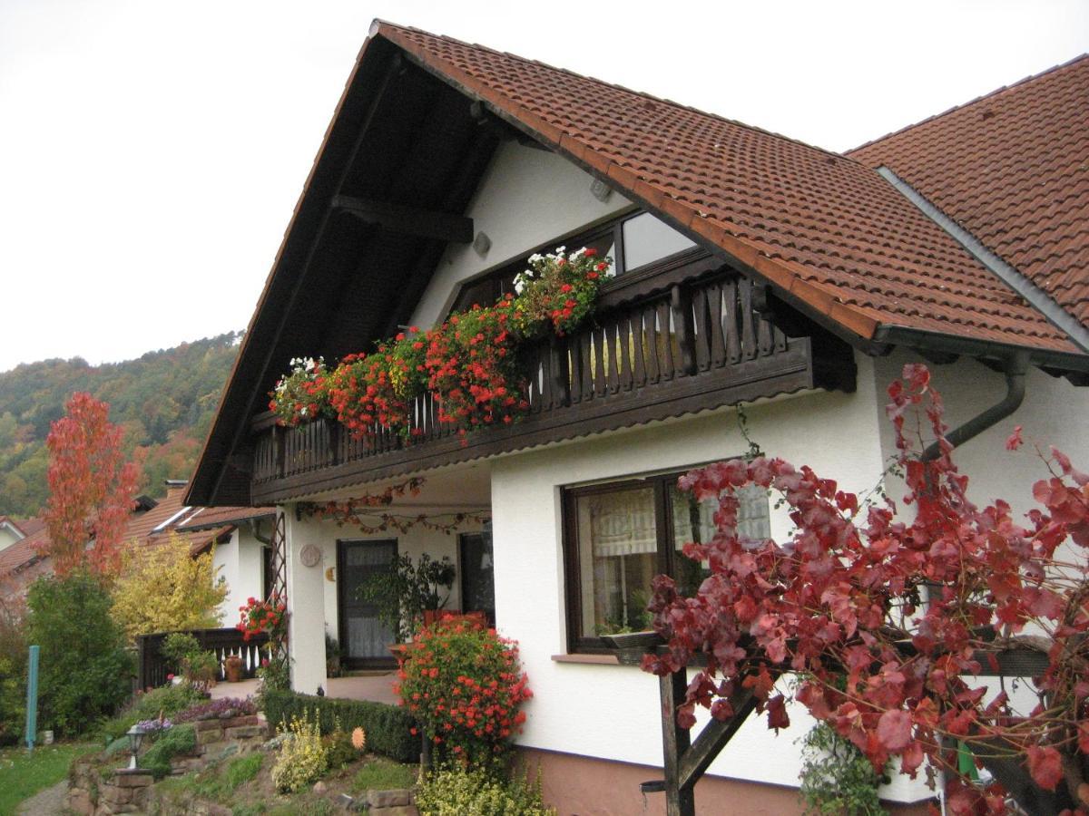 Ferienwohnungen Haus Albert Großheubach Kültér fotó