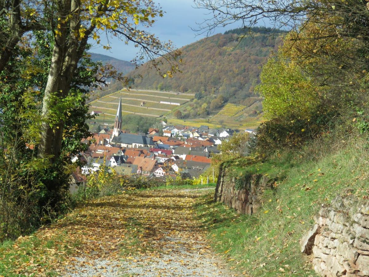 Ferienwohnungen Haus Albert Großheubach Kültér fotó