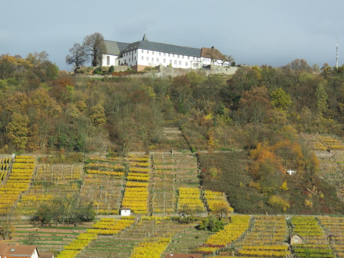 Ferienwohnungen Haus Albert Großheubach Kültér fotó