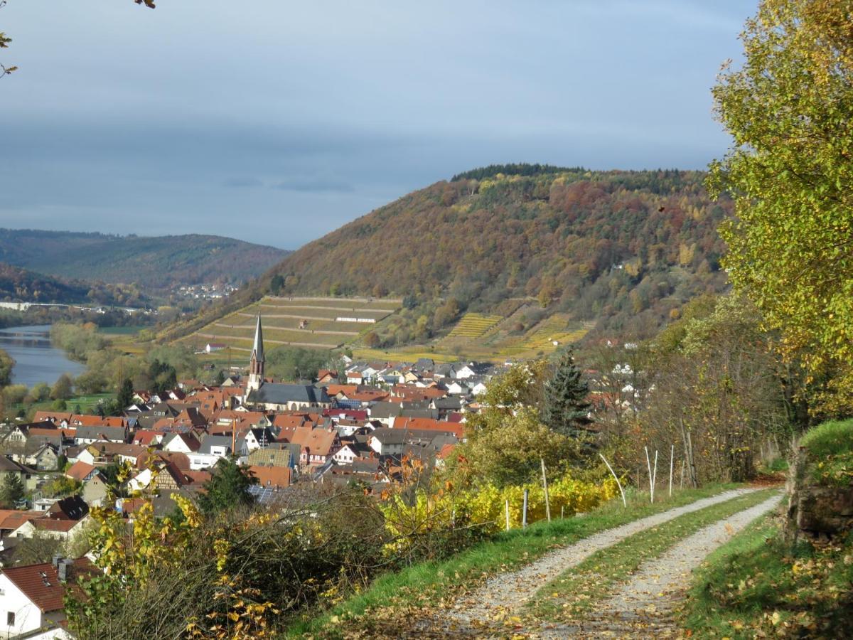 Ferienwohnungen Haus Albert Großheubach Kültér fotó